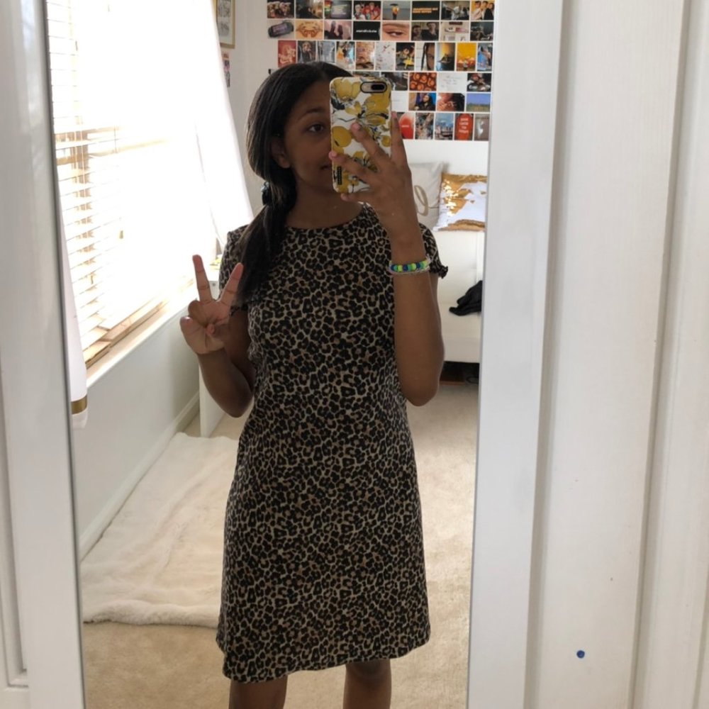 AMERICAN EAGLE Cheetah Print Dress